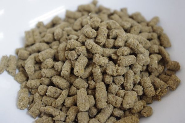 画像3: BLOOMわんごはん （毎月第2金曜日受注受付で翌週お届け） (3)