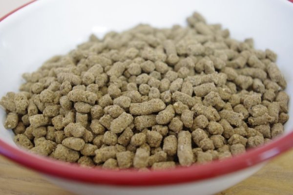 画像2: BLOOMわんごはん （毎月第2金曜日受注受付で翌週お届け） (2)